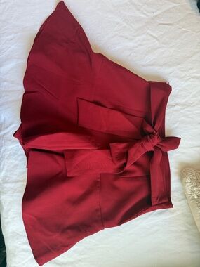 Zara Red A-Line Skirt with Tie Waist